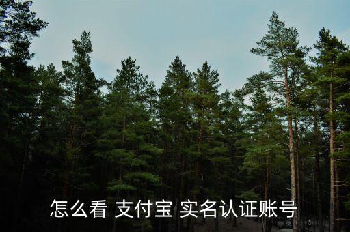 怎么看支付寶是不是半實(shí)名,怎么辦支付鮑賬戶注冊(cè)不能打勾?