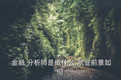  金融 分析師是做什么,就業(yè)前景如何