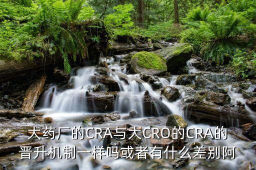 大藥廠的CRA與大CRO的CRA的晉升機制一樣嗎或者有什么差別阿