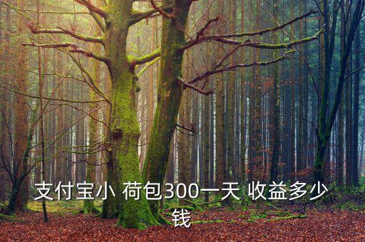 支付寶小 荷包300一天 收益多少錢