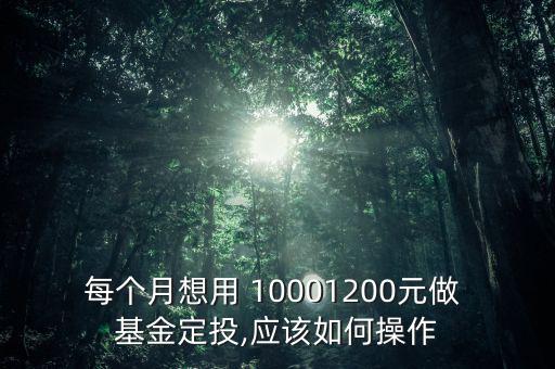 每個(gè)月想用 10001200元做 基金定投,應(yīng)該如何操作