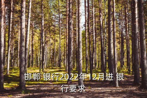  邯鄲 銀行2022年12月進(jìn) 銀行要求