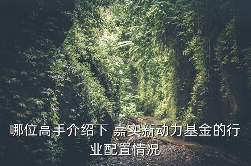 嘉實(shí)新興產(chǎn)業(yè)怎么樣,嘉實(shí)新興產(chǎn)業(yè)開放式基金招募說明書