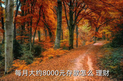  每月大約8000元存款怎么 理財