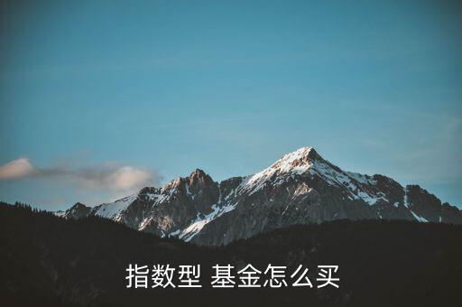  指數(shù)型 基金怎么買(mǎi)