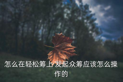 怎么在輕松籌上 發(fā)起眾籌應(yīng)該怎么操作的