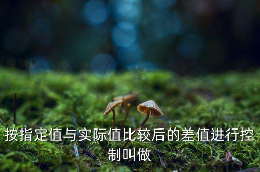 按指定值與實際值比較后的差值進(jìn)行控制叫做