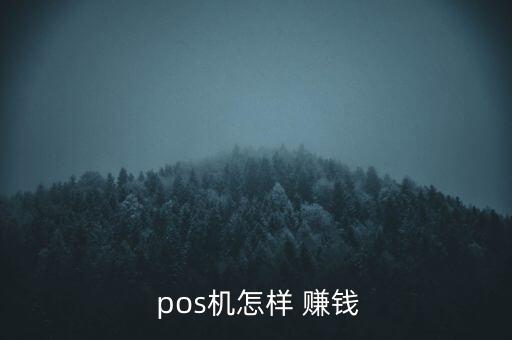  pos機(jī)怎樣 賺錢