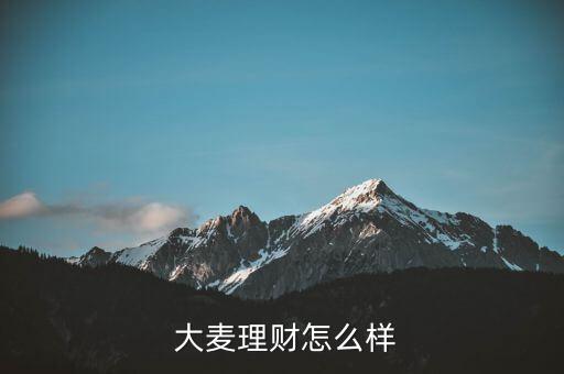 大麥金怎么樣,網(wǎng)貸風(fēng)險怎么辦?