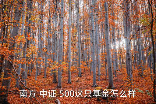 南方 中證 500這只基金怎么樣