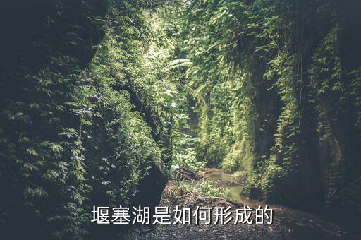  堰塞湖是如何形成的