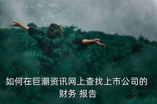 如何在巨潮資訊網(wǎng)上查找上市公司的 財務(wù) 報告