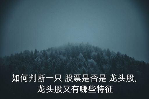 如何判斷一只 股票是否是 龍頭股, 龍頭股又有哪些特征