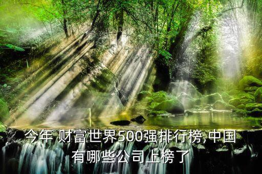 今年 財(cái)富世界500強(qiáng)排行榜,中國有哪些公司上榜了