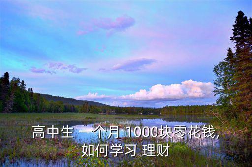 一個月1000怎么理財,一個月投資1000元理財有收益!