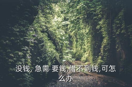 沒(méi)錢(qián), 急需 要錢(qián),借不到錢(qián),可怎么辦