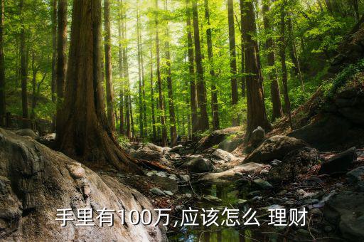 手里有100萬,應(yīng)該怎么 理財