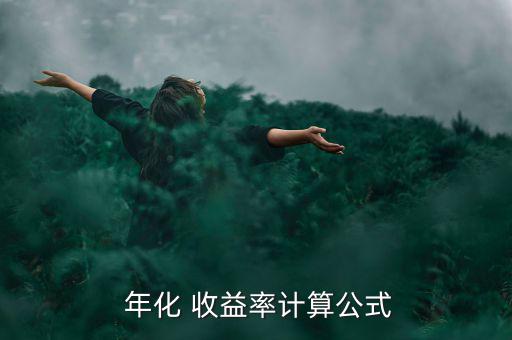  年化 收益率計算公式