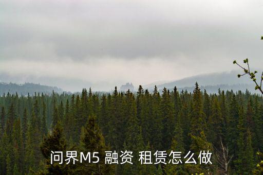 問界M5 融資 租賃怎么做