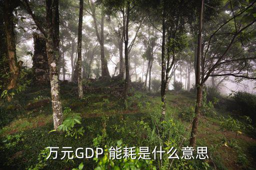 萬元GDP 能耗是什么意思