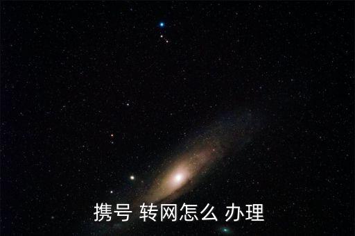  攜號 轉(zhuǎn)網(wǎng)怎么 辦理