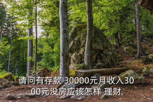 請(qǐng)問有存款 30000元月收入3000元沒房應(yīng)該怎樣 理財(cái)