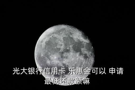  光大銀行信用卡 樂(lè)惠金可以 申請(qǐng)最低還款額嘛