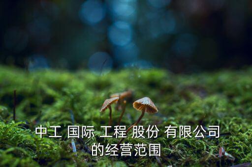  中工 國際 工程 股份 有限公司的經(jīng)營范圍