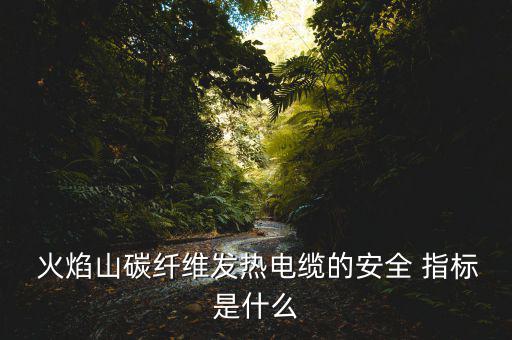  火焰山碳纖維發(fā)熱電纜的安全 指標是什么