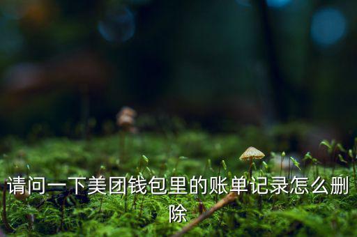 紅杉資本怎么進,理財在線｜羅清全】如何在美團做股票投資?