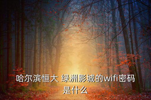 無(wú)線(xiàn)綠洲怎么樣,密碼知多少?問(wèn)與答（18）