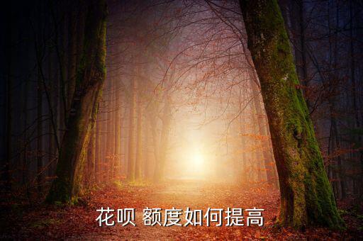 怎么提高花唄額度,如果用戶符合提現(xiàn)條件系統(tǒng)會(huì)自動(dòng)提現(xiàn)金額