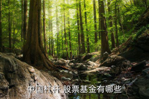 雙禧b股票怎么樣,中國杠桿股票有哪些優(yōu)質(zhì)基金?