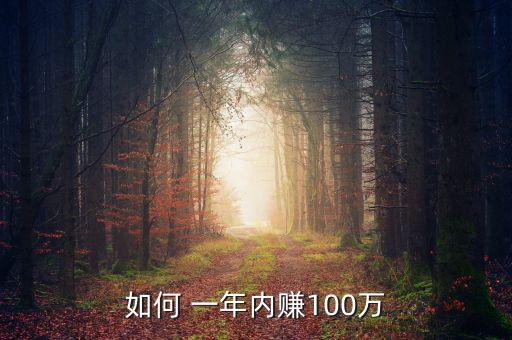 一年掙錢100萬怎么掙得,如何從3萬起步到100萬元人生