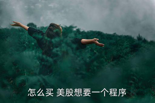 怎么買 美股想要一個(gè)程序