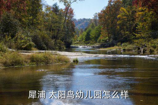 犀浦 太陽鳥幼兒園怎么樣