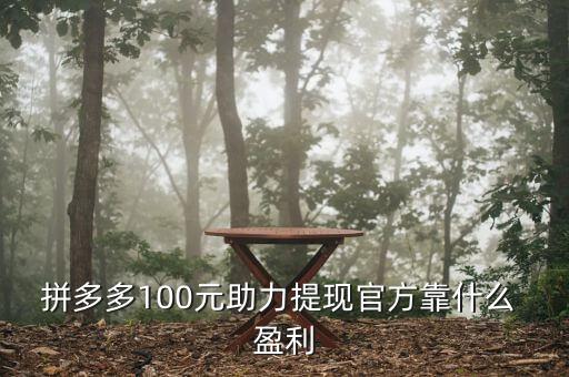 拼多多100元助力提現(xiàn)官方靠什么 盈利