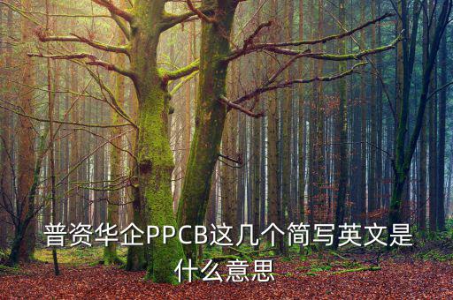  普資華企PPCB這幾個(gè)簡(jiǎn)寫(xiě)英文是什么意思