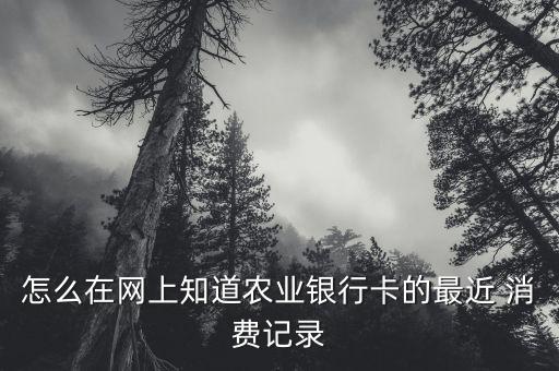 怎么在網上知道農業(yè)銀行卡的最近 消費記錄