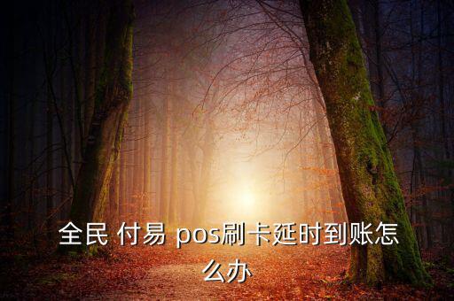  全民 付易 pos刷卡延時到賬怎么辦