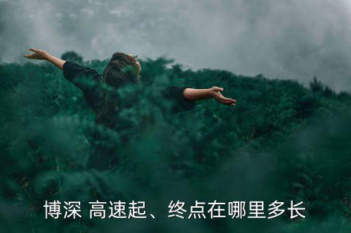 鹽排高速怎么轉(zhuǎn)博深高速,鹽排高速公路是怎么回事?