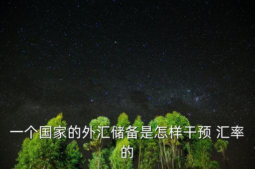 一個國家的外匯儲備是怎樣干預(yù) 匯率的