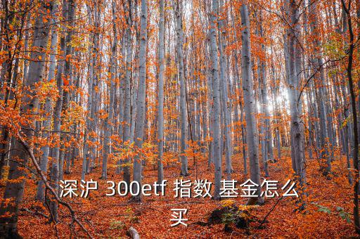 深滬 300etf 指數(shù) 基金怎么買