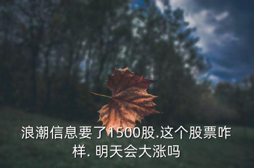 浪潮信息要了1500股.這個(gè)股票咋樣. 明天會(huì)大漲嗎