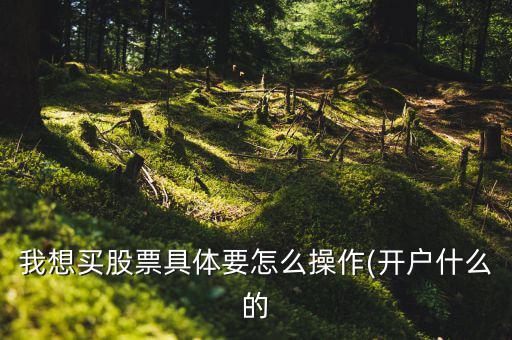 我想買(mǎi)股票具體要怎么操作(開(kāi)戶(hù)什么的