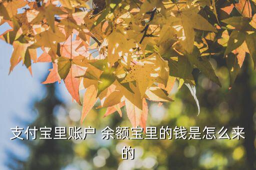 余額寶的錢是怎么來的,理財(cái)不是消費(fèi)金融工具