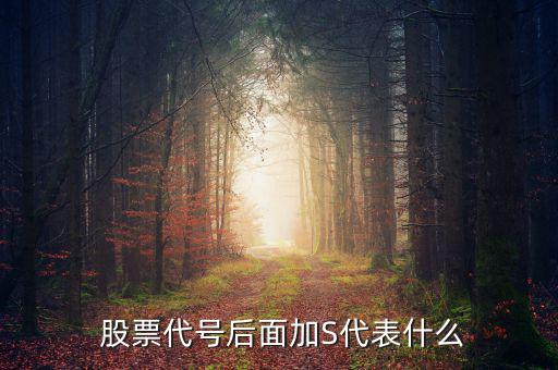 股票加上s是怎么回事,進(jìn)入s板證券包括所有股票未完成股改的