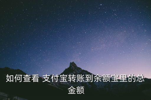 如何查看 支付寶轉(zhuǎn)賬到余額寶里的總 金額