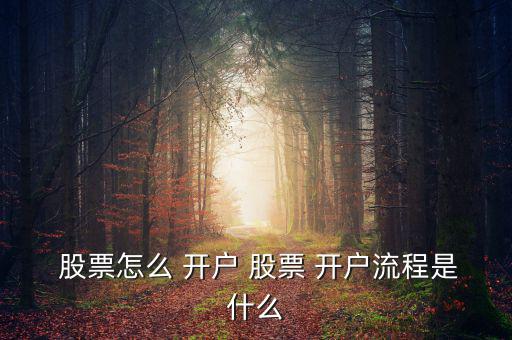  股票怎么 開戶 股票 開戶流程是什么