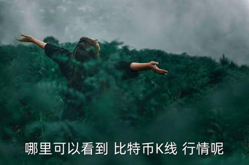 哪里可以看到 比特幣K線 行情呢